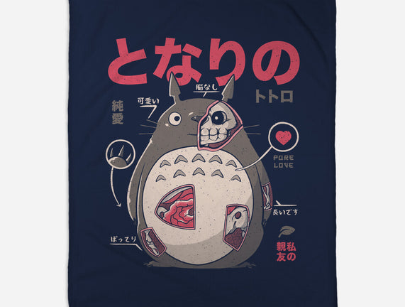 Neighbor Anatomy