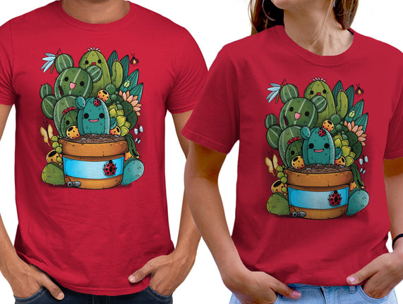 Cactus Succulents