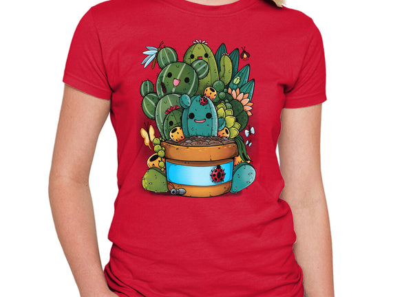 Cactus Succulents