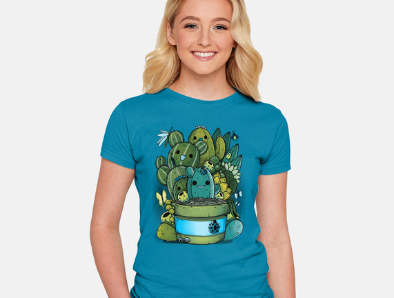 Cactus Succulents