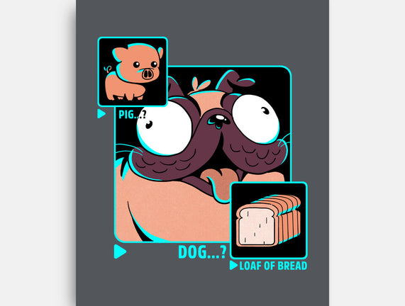 Dog, Pig, Loaf Of Bread