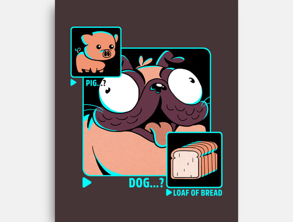 Dog, Pig, Loaf Of Bread