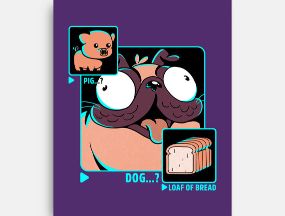 Dog, Pig, Loaf Of Bread