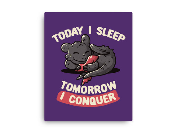 Today I Sleep