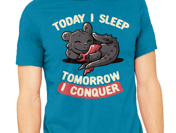 Today I Sleep
