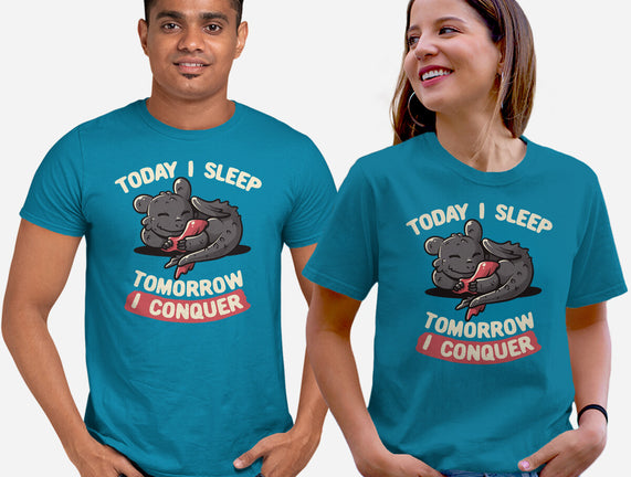 Today I Sleep