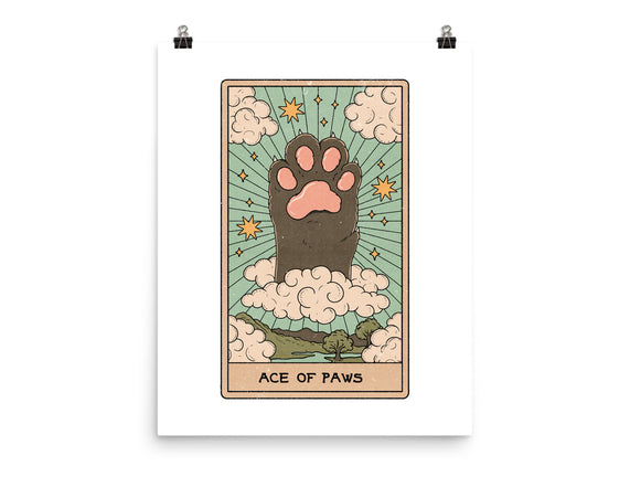 Ace of Paws