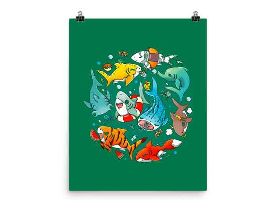 Summer Shark