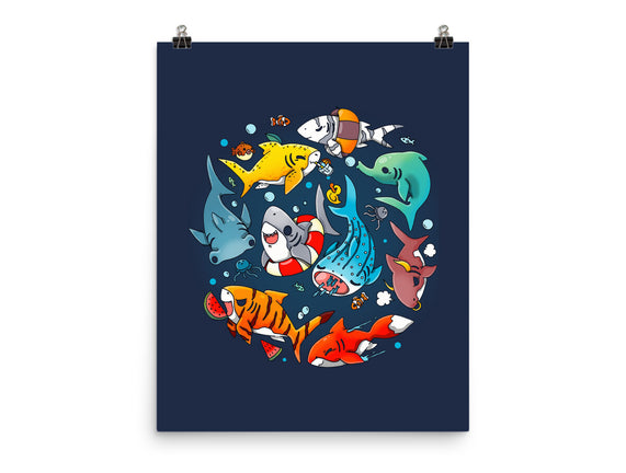 Summer Shark