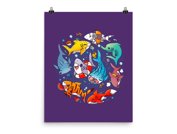 Summer Shark