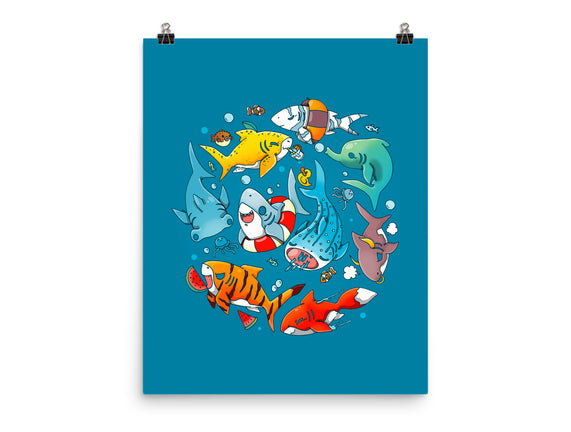 Summer Shark
