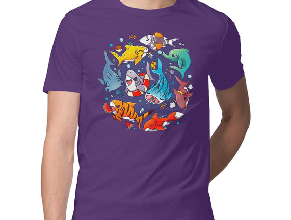 Summer Shark