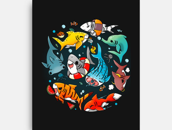 Summer Shark