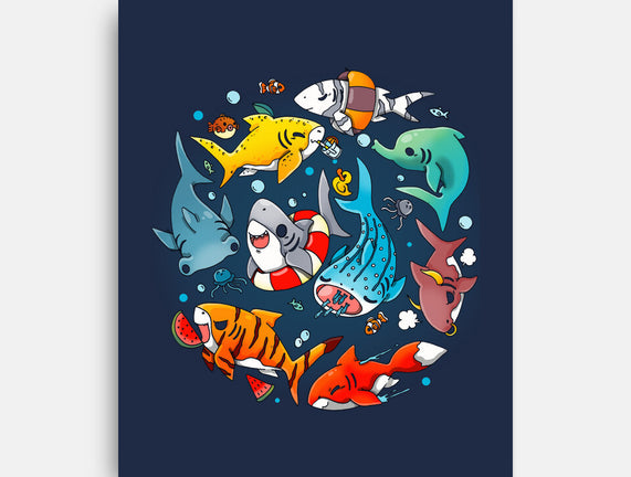 Summer Shark