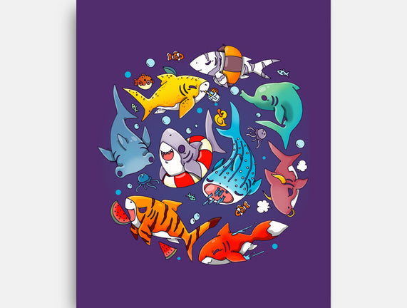 Summer Shark