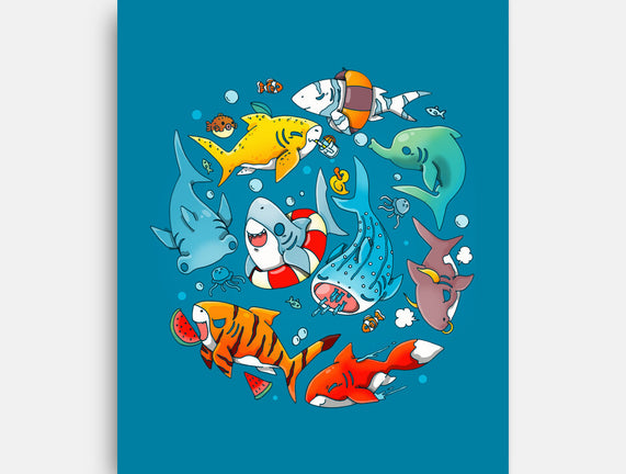 Summer Shark