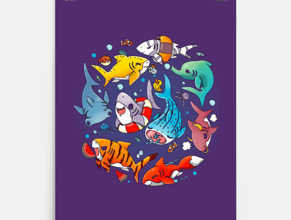 Summer Shark