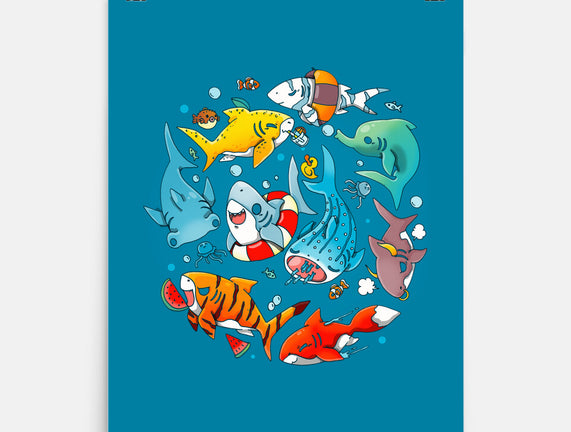 Summer Shark