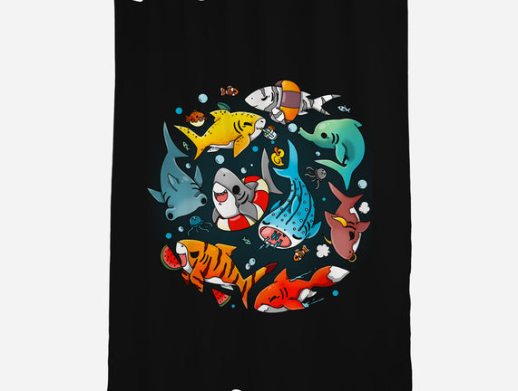 Summer Shark