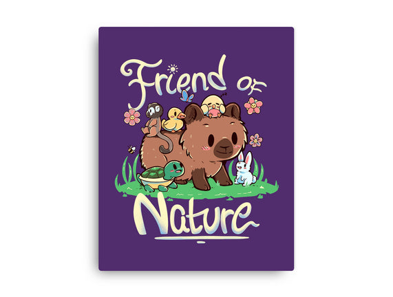 Friend Of Nature