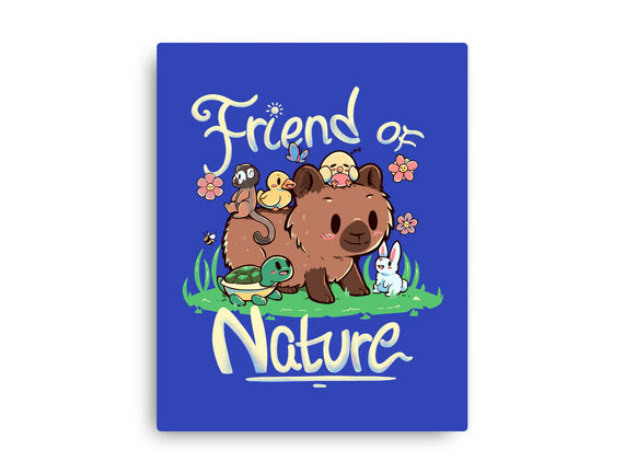 Friend Of Nature