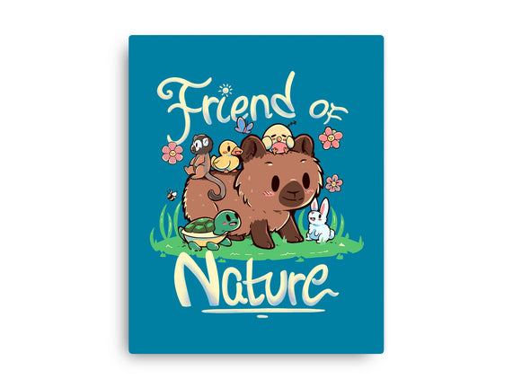 Friend Of Nature