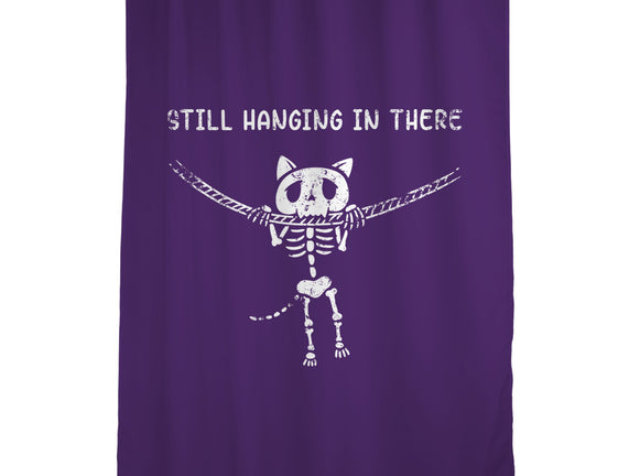 Still Hanging In There