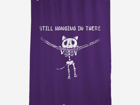 Still Hanging In There