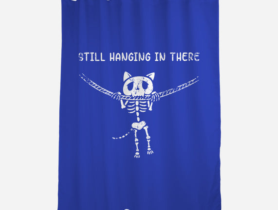 Still Hanging In There