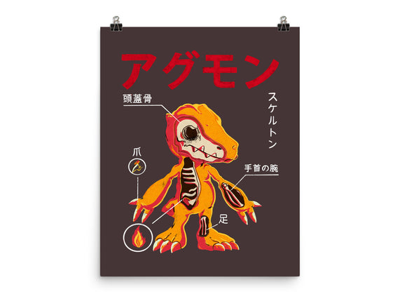 Anatomy Of A Digital Monster