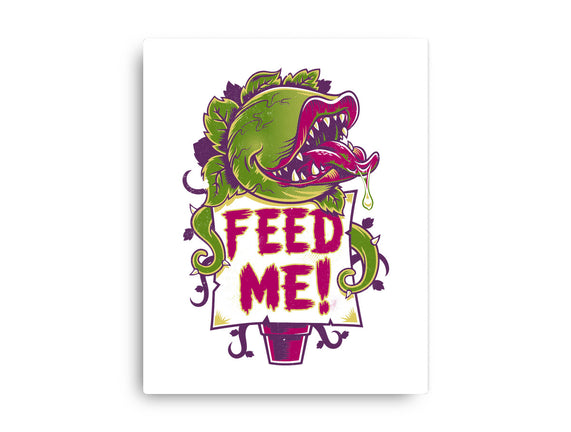 Feed Me Seymour!