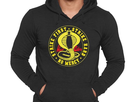 Hail Cobra Kai!