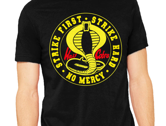 Hail Cobra Kai!
