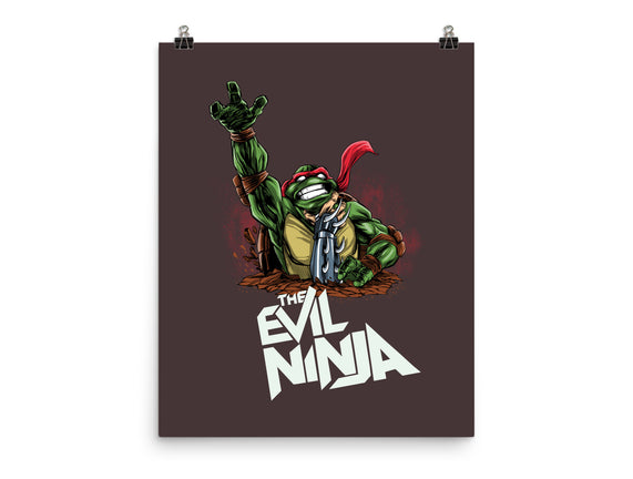 The Evil Ninja