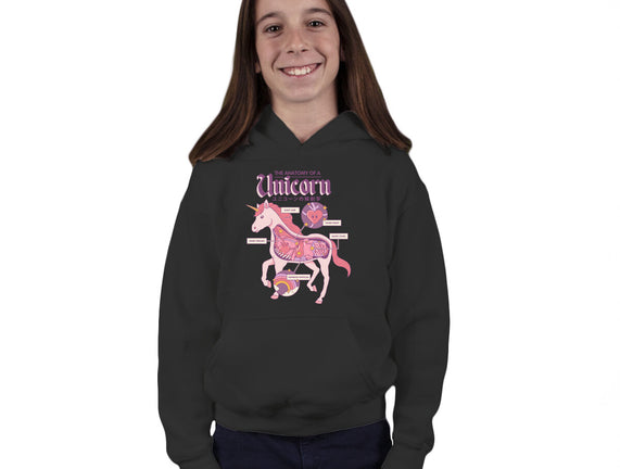 The Anatomy Of A Unicorn