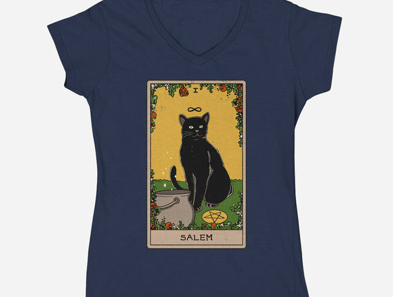 Salem The Cat