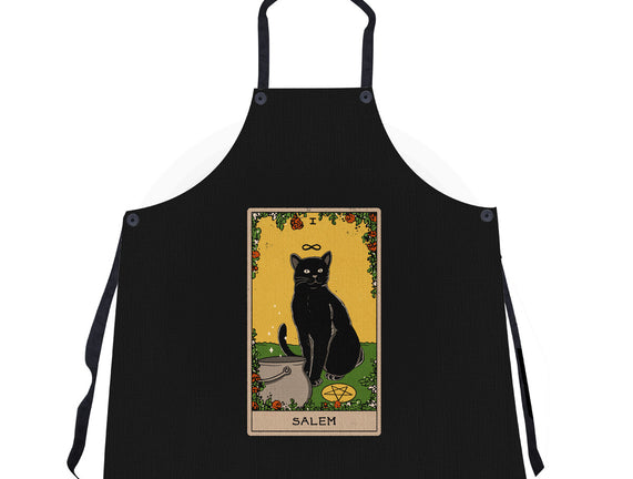 Salem The Cat