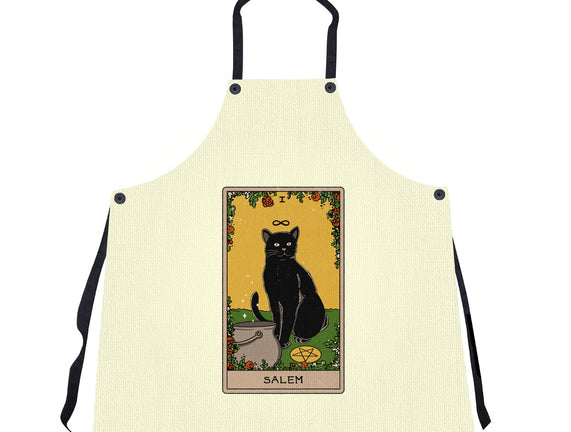Salem The Cat