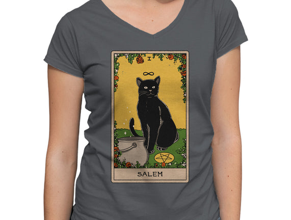 Salem The Cat