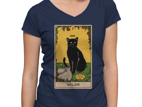 Salem The Cat