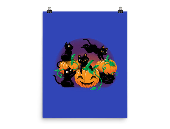 Hello Cat Halloween