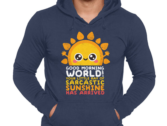 Sarcastic Sunshine