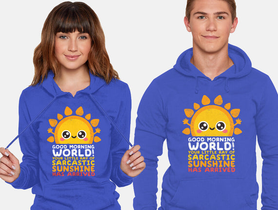 Sarcastic Sunshine