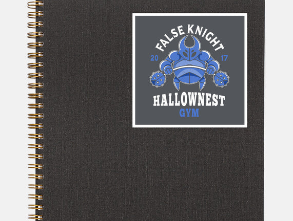 False Knight Gym