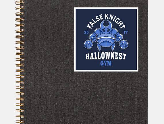 False Knight Gym