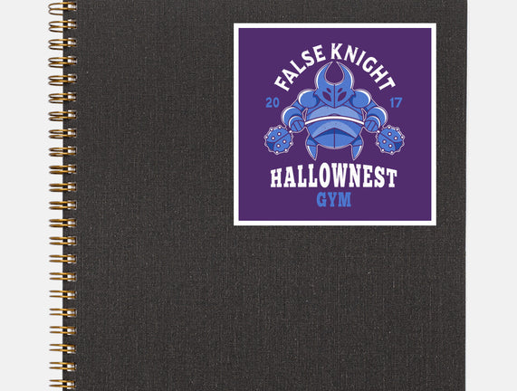 False Knight Gym