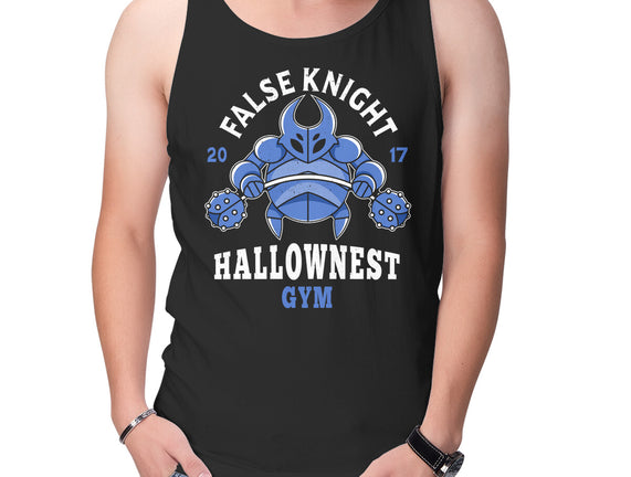 False Knight Gym