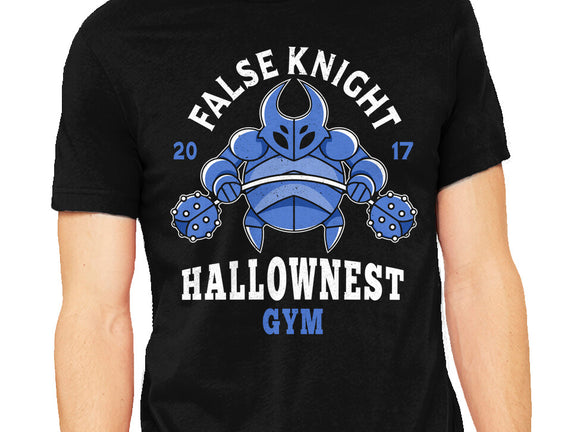 False Knight Gym