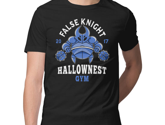 False Knight Gym