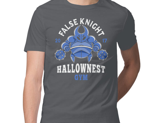 False Knight Gym